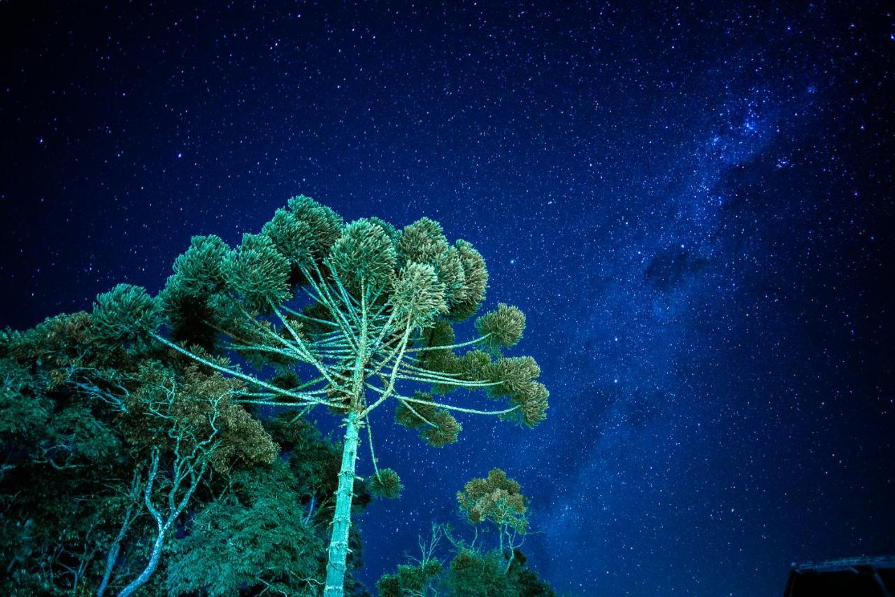 Sitio Das Hortensias Chales Conceição da Ibitipoca Dış mekan fotoğraf