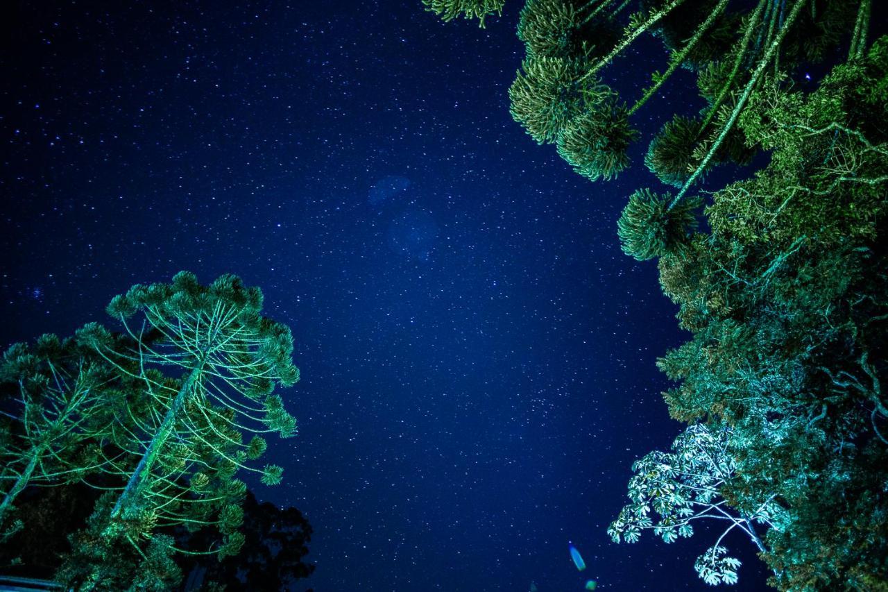 Sitio Das Hortensias Chales Conceição da Ibitipoca Dış mekan fotoğraf